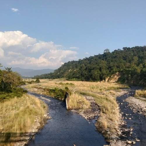 Photo #13213165
