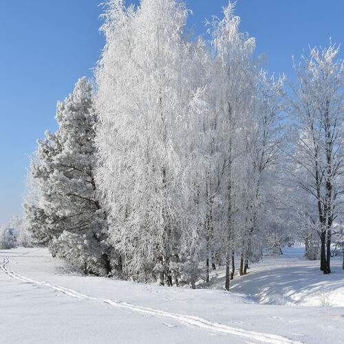 Photo #13213268
