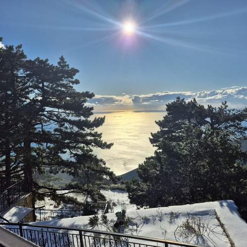 Photo #13213347