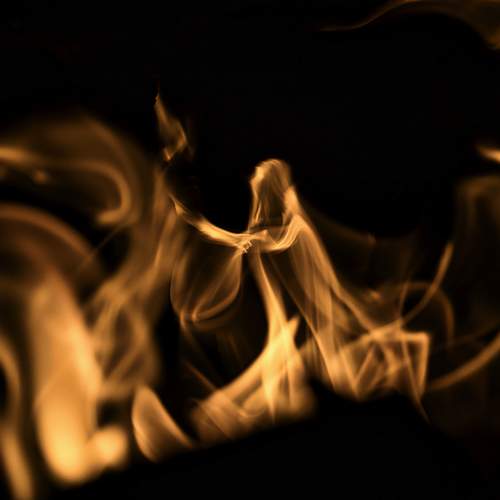 Photo #13213353