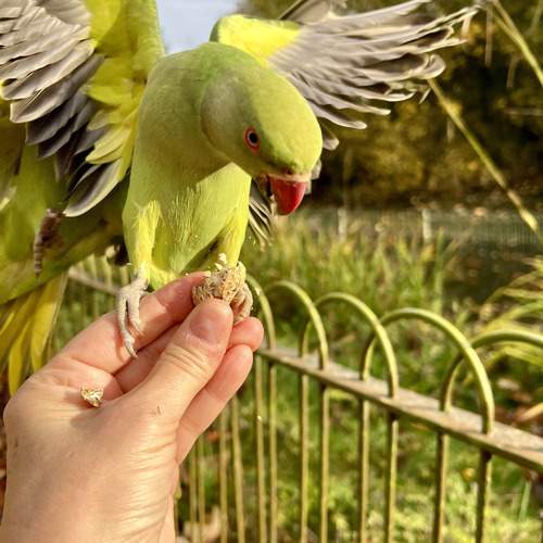 Photo #13213460