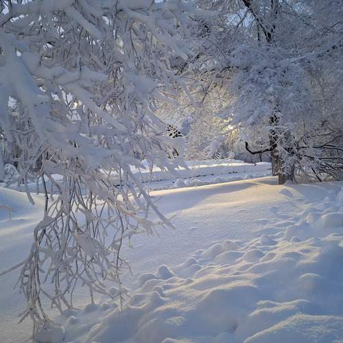 Фотография #13213518