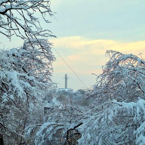 Фотография #13213519