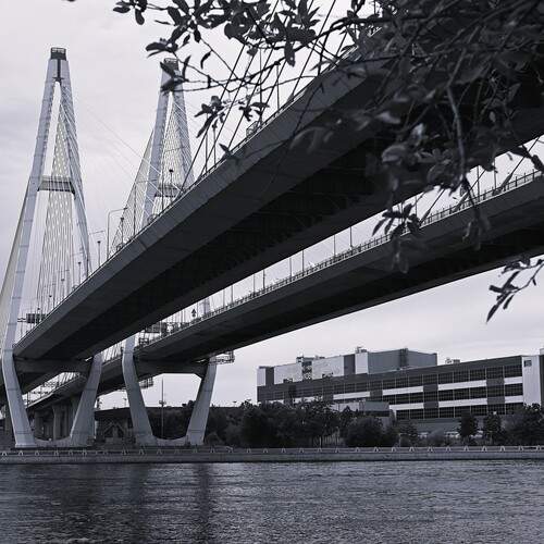 Photo #13213760