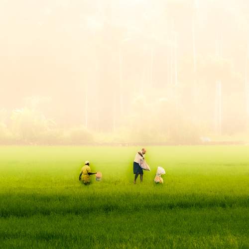 Photo #13214008