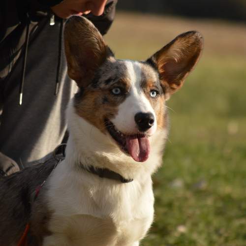 Photo #13214096