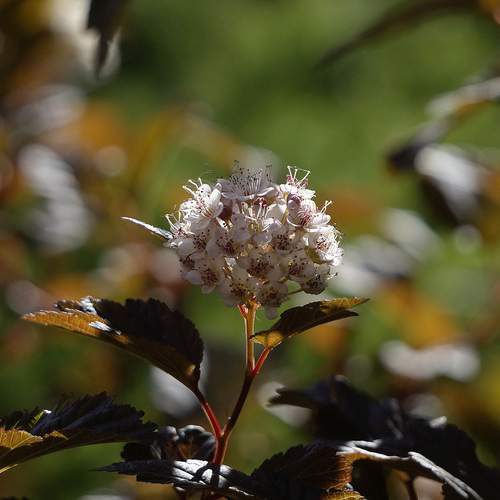 Photo #13214130