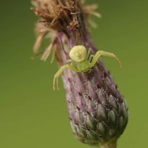 Photo #13214205