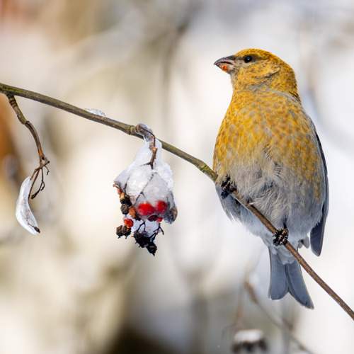 Фотография #13214253