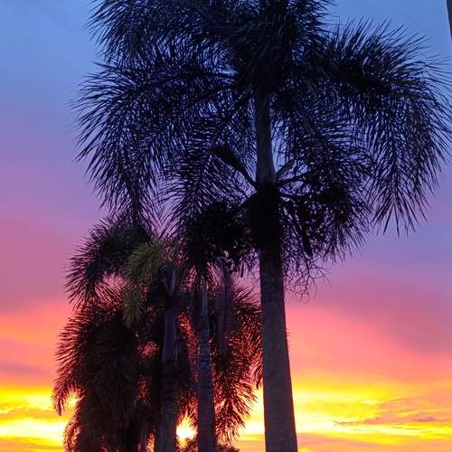 Photo #13214273