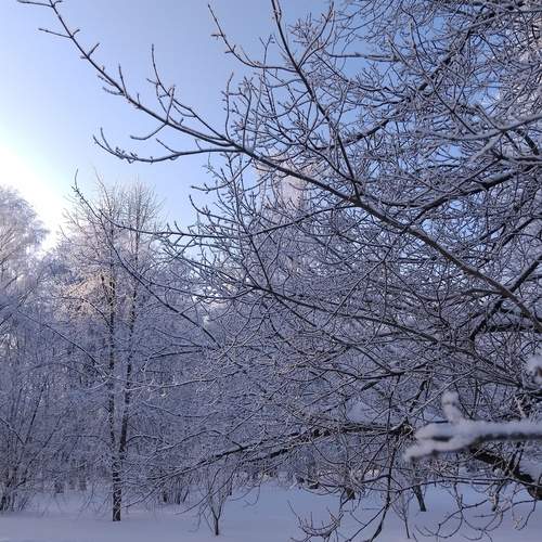 Photo #13214352