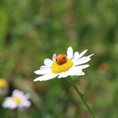 Photo #13214405