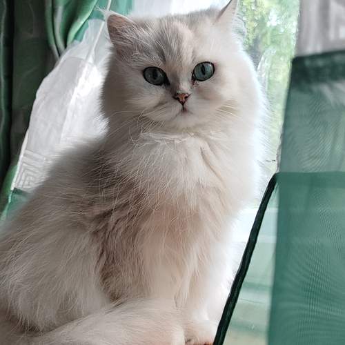 Photo #13214416