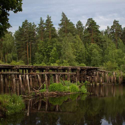 Photo #13214551