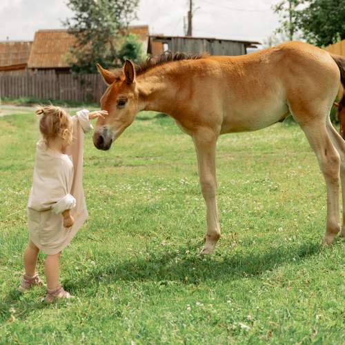 Photo #13214617