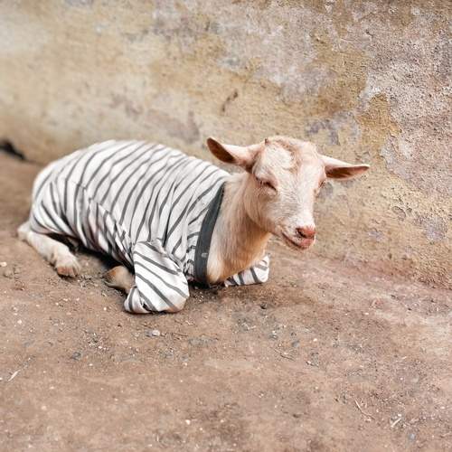 Photo #13214636