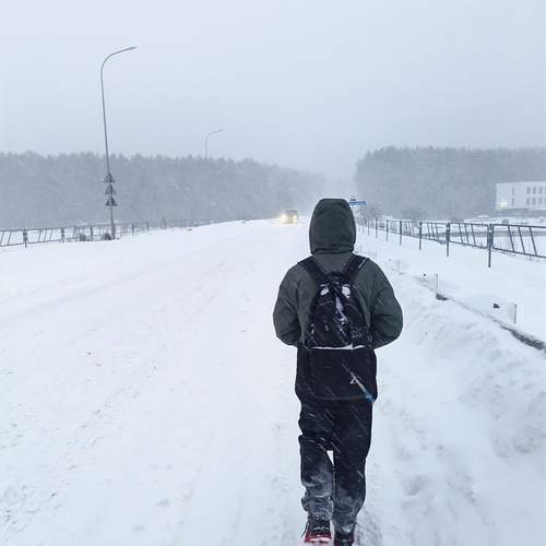 Photo #13214662