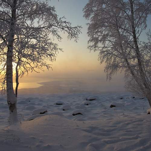 Photo #13214791