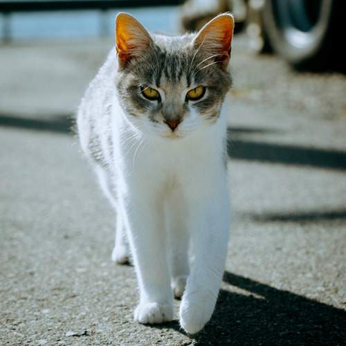 Photo #13214852