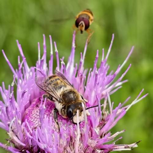 Photo #13214893