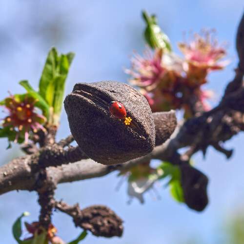 Photo #13214925