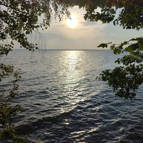 Photo #13214966