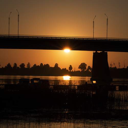 Photo #13215135