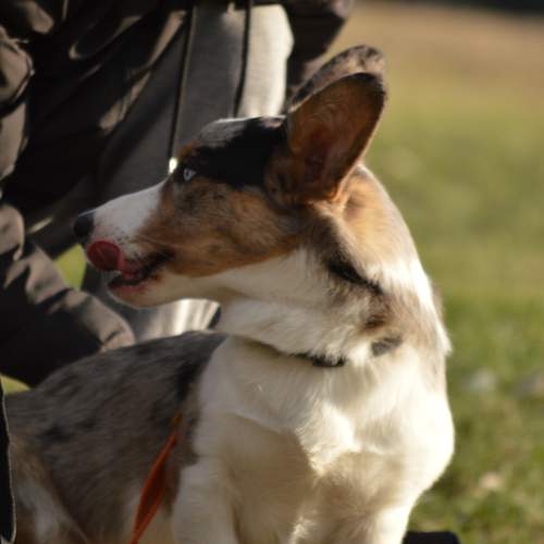 Photo #13215160