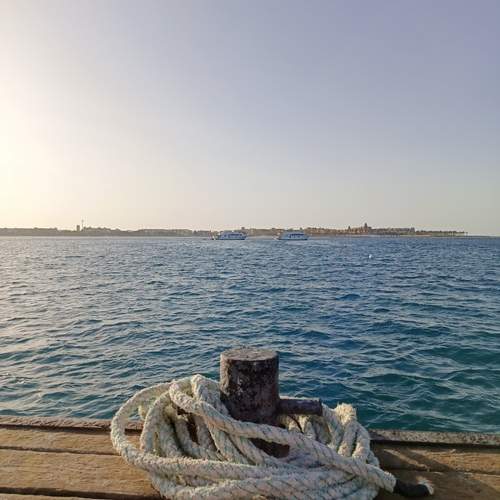 Photo #13215215