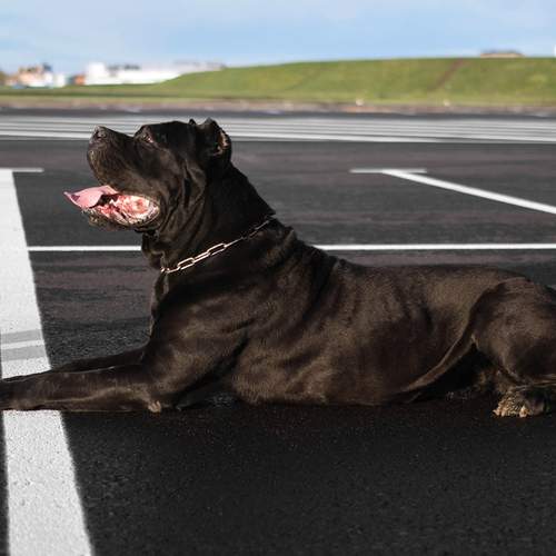 Photo #13215257