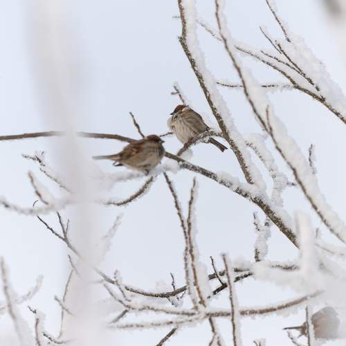 Photo #13215314