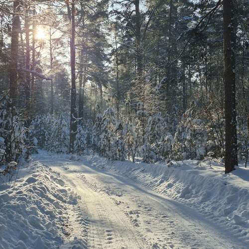 Photo #13215359