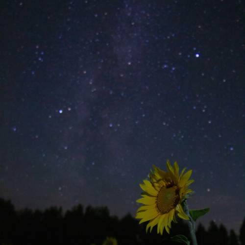 Photo #13215472