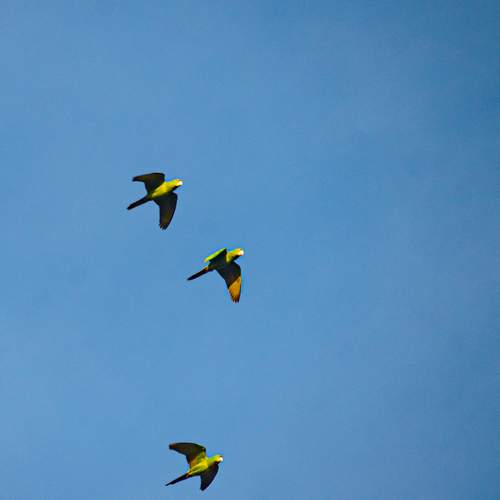 Photo #13215475