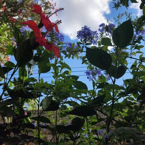 Photo #13215513
