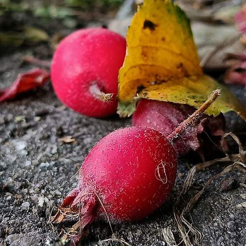 Photo #13215543