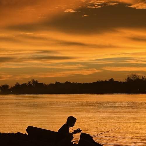 Photo #13215578