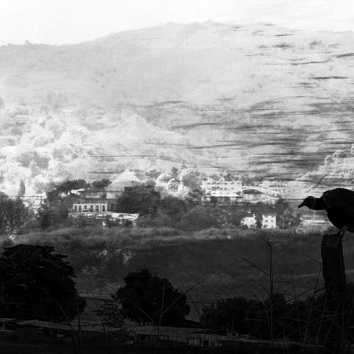 Photo #13215670