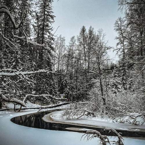 Photo #13215708