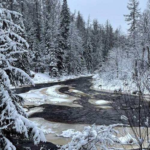 Photo #13215709