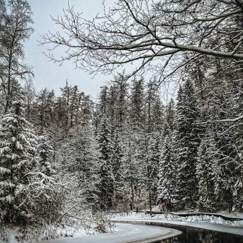 Photo #13215710