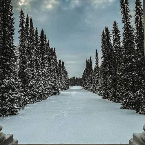 Photo #13215711