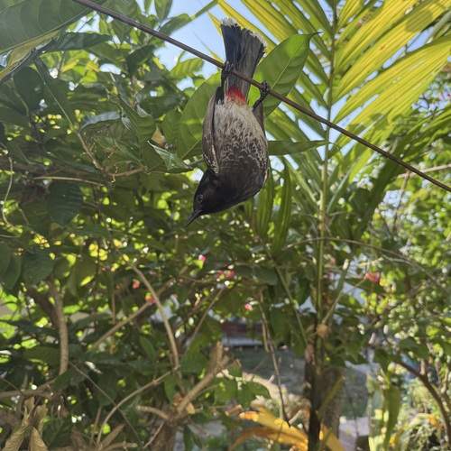 Photo #13215816