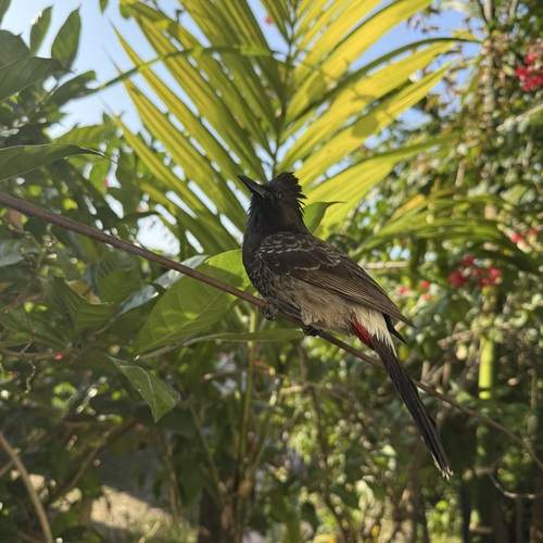 Photo #13215817