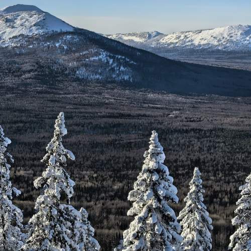 Фотография #13215831