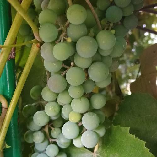 Photo #13215854