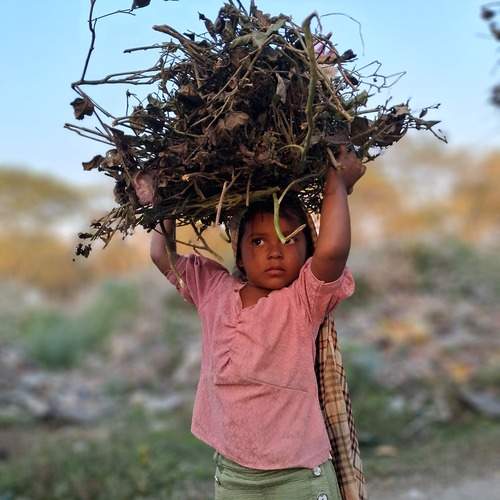 Photo #13215880