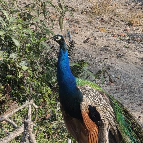 Photo #13215896