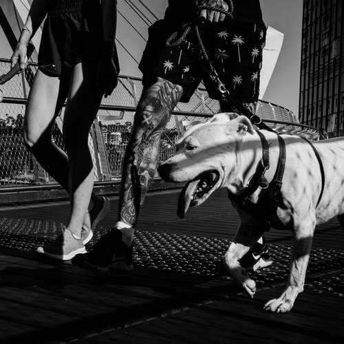 Photo #13215942
