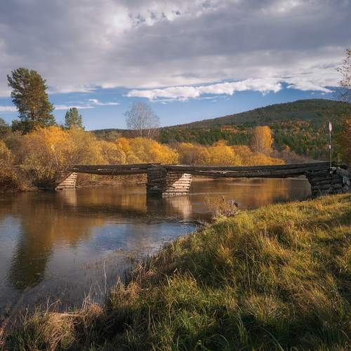 Photo #13215947